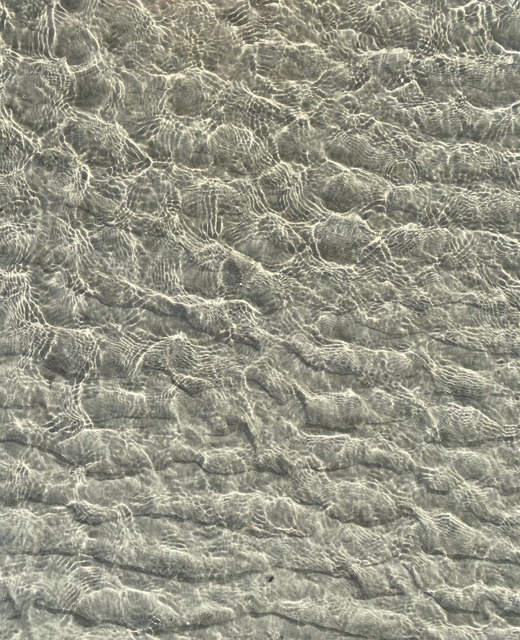 nature_2022-01-01 14.50.11-2-2022.jpg